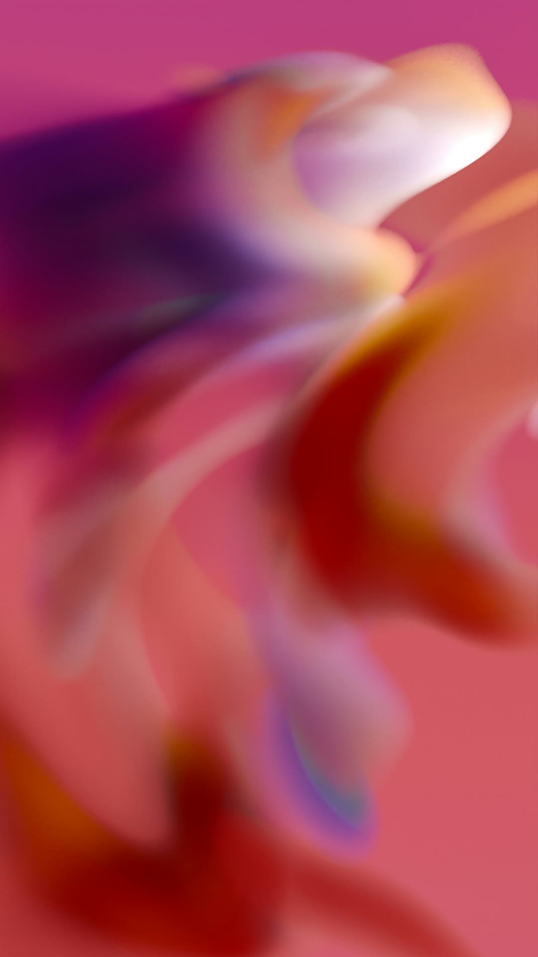 http://n.sinaimg.cn/translate/w540h305/20180311/hWpq-fxpwyhx1484329.gif